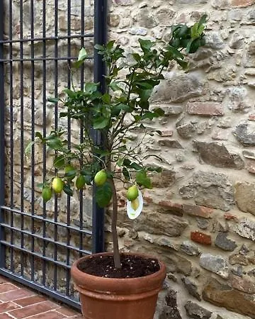아파트 Umbria *