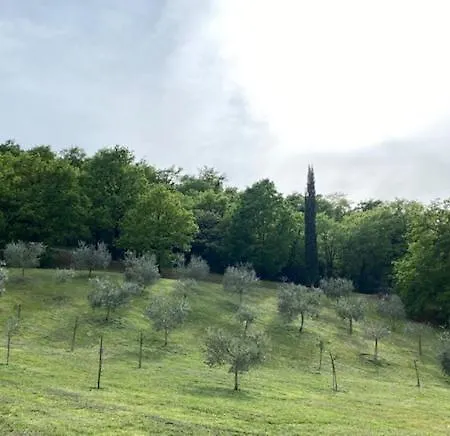 Umbria * 메르카텔로