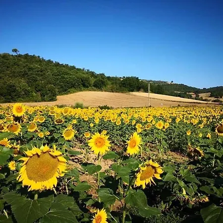 Appartamento Umbria *